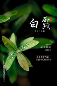 白露传统节日促销活动海报素材