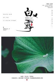 白露传统节日促销活动海报素材