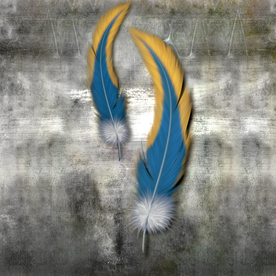 羽毛玄关装饰画