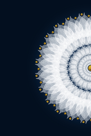 白色花朵装饰画