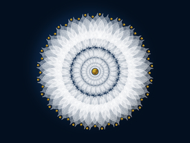 白色花朵现代装饰画