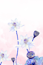 花卉水墨装饰画