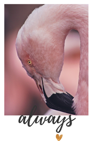 简约现代装饰画