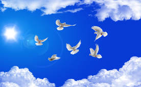 蓝天白云 电视背景墙