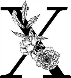 花卉装饰字母 字母X
