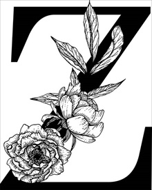花卉装饰字母 字母Z