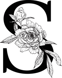 花卉装饰字母 字母S