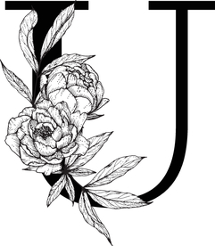花卉装饰字母 字母U
