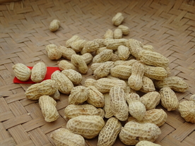 红衣花生