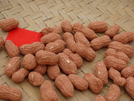 红衣花生