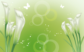 清新植物背景墙