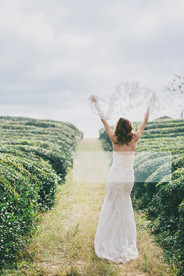 茶园婚纱照调色