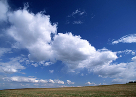蓝天草地