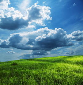 蓝天与草原