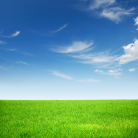 蓝天与草地