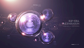 DNA细胞合成图片