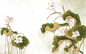 水墨风荷花图片