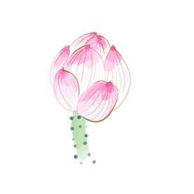 水墨风荷花图片