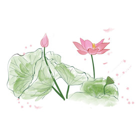 水墨风荷花图片