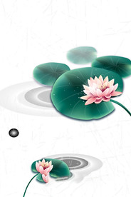 水墨风荷花图片