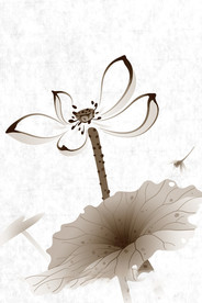 水墨风荷花图片