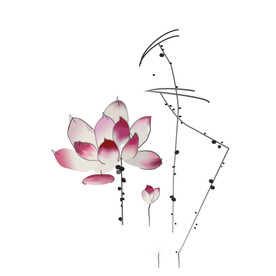 水墨风荷花图片