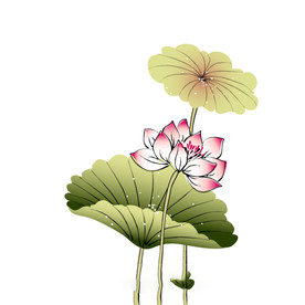 水墨风荷花图片