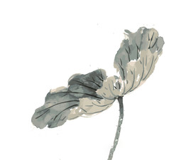 水墨风荷花图片