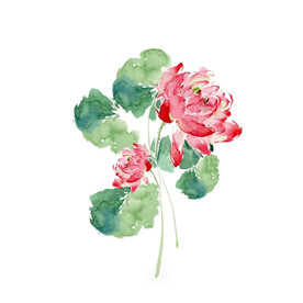 水墨风荷花图片