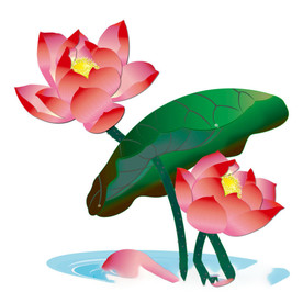 水墨风荷花图片