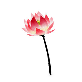 水墨风荷花图片