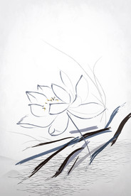 水墨风荷花图片