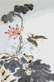 水墨风荷花图片