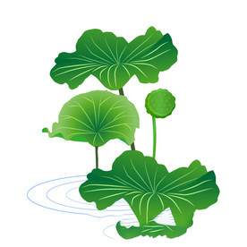 水墨风荷花图片