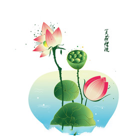 水墨风荷花图片