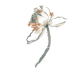 水墨风荷花图片