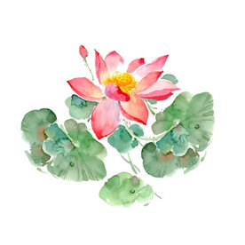 水墨风荷花图片