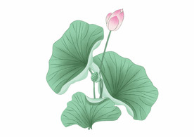 水墨风荷花图片