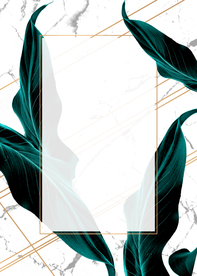 热带植物装饰框