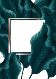 热带植物装饰框