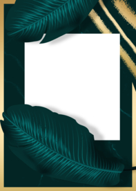 热带植物装饰框