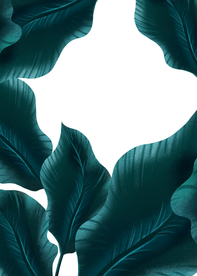 热带植物装饰框