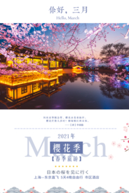你好三月樱花季樱花节海报