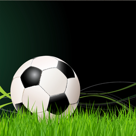 运动器材 体育运动 篮球 足球