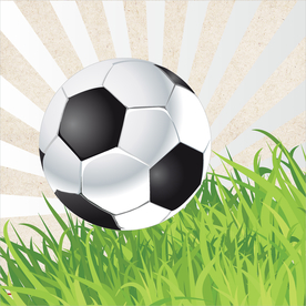 运动器材 体育运动 篮球 足球