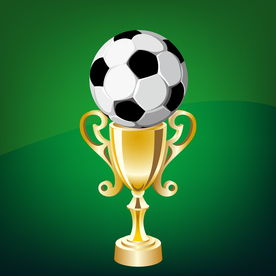 运动器材 体育运动 篮球 足球