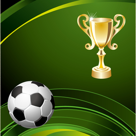 运动器材 体育运动 篮球 足球