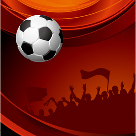 运动器材 体育运动 篮球 足球