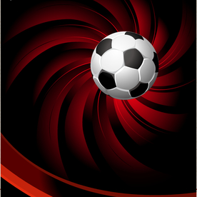 运动器材 体育运动 篮球 足球