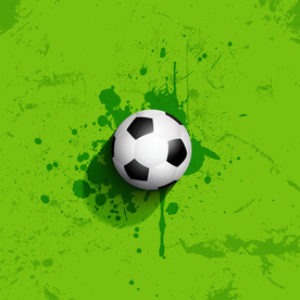 运动器材 体育运动 篮球 足球